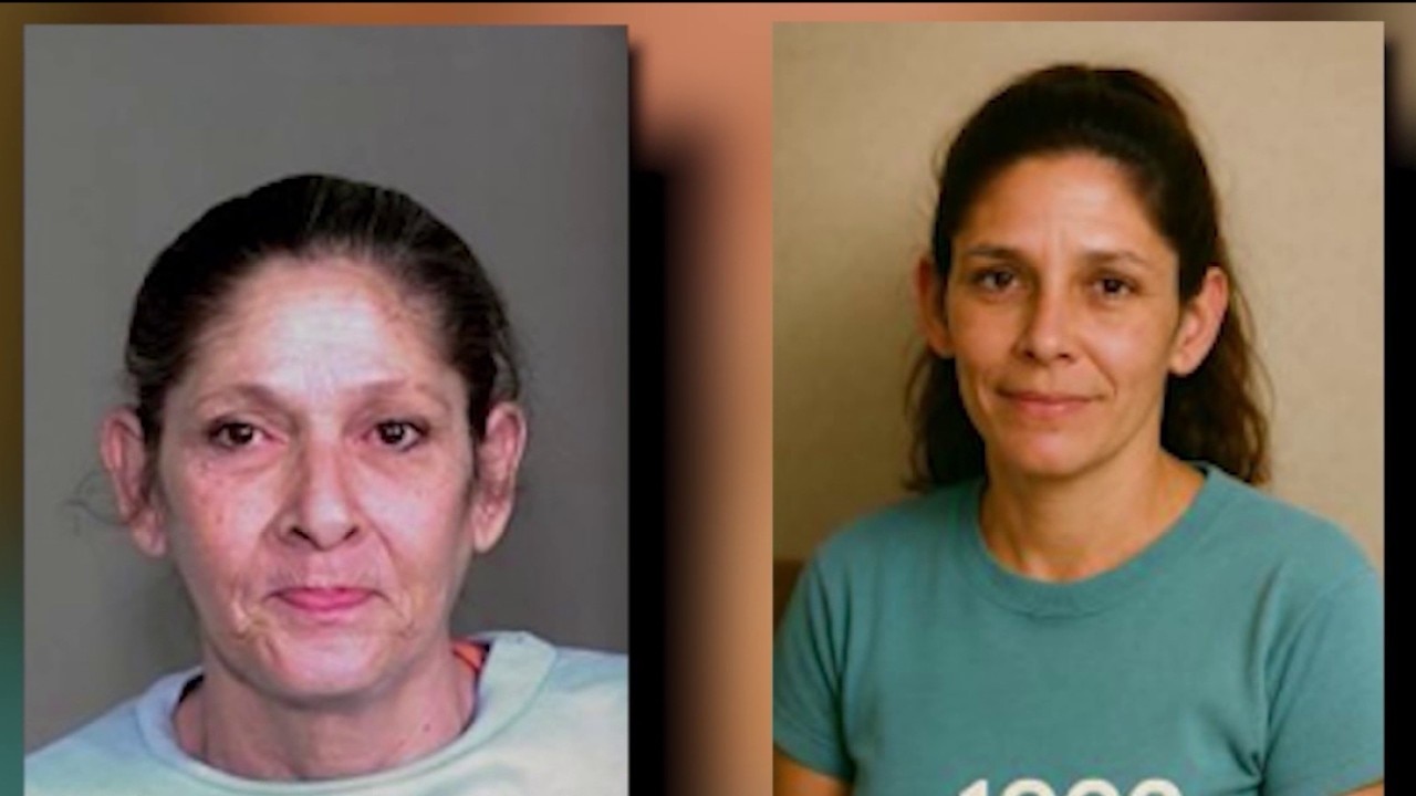 Illinois State Police identify person of interest in Tammy Zywicki murder investigation
