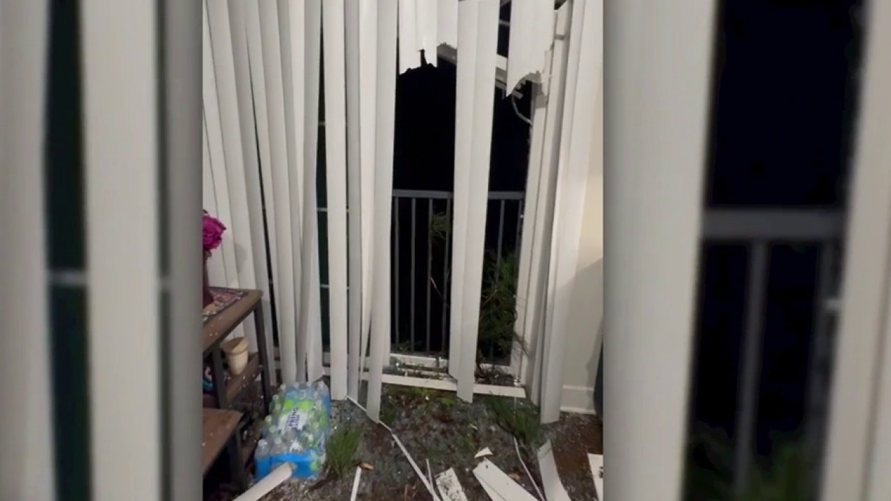 Tree bursts through apartment window in Atlanta