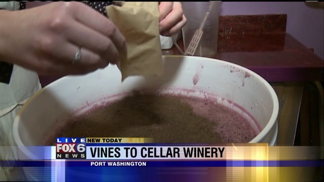 Laura starts the process of making wine