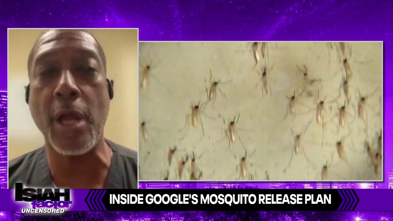 Why 32 Million Sterilized Mosquitoes Could Be Released in California and Florida