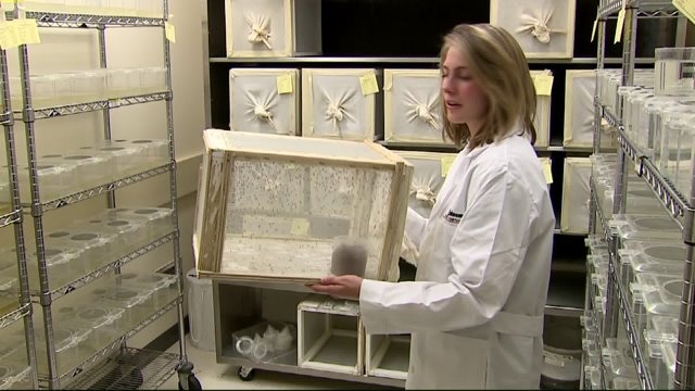 SC Johnson researching, producing products to protect from Zika virus