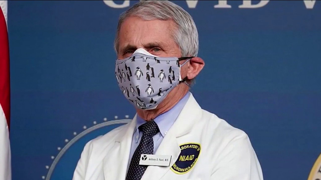 Dr. Fauci invokes Fifth Amendment over 100 times in COVID hearing