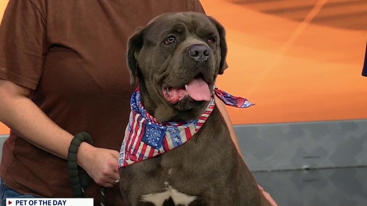Pet of the day: Linda