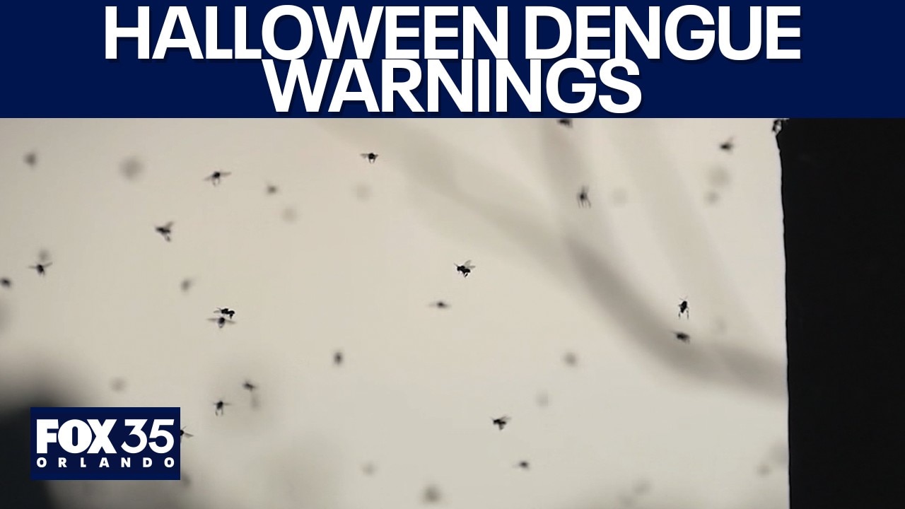 Dengue warning signs ahead of Halloween