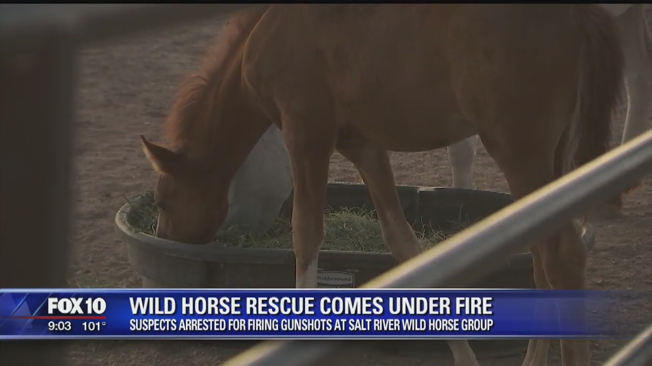 Two arrested for shooting at Salt River Wild Horse Rescue