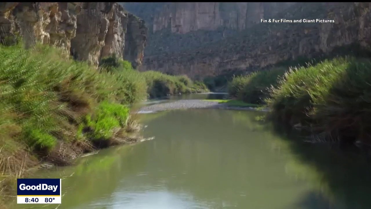 New documentary "Deep in the Heart Two" explores Texas rivers through animal perspectives