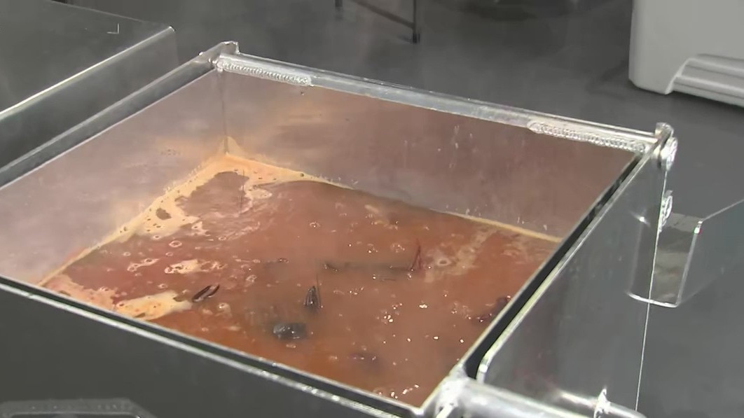 Tips on how to boil crawfish