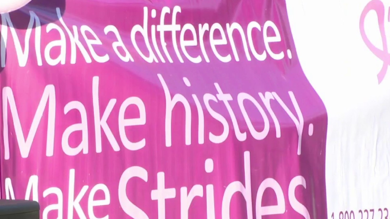 Making Strides Against Breast Cancer Walk 2026