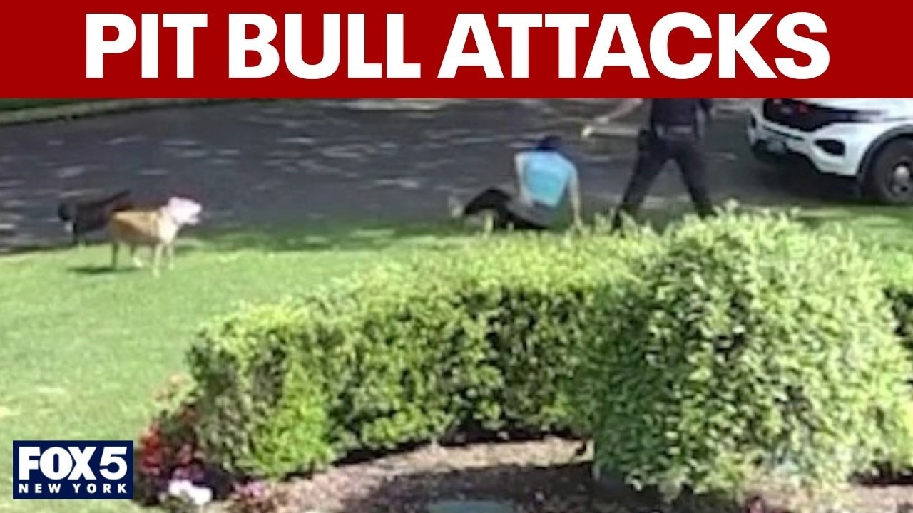 Neighbors concerned about pit bull attacks