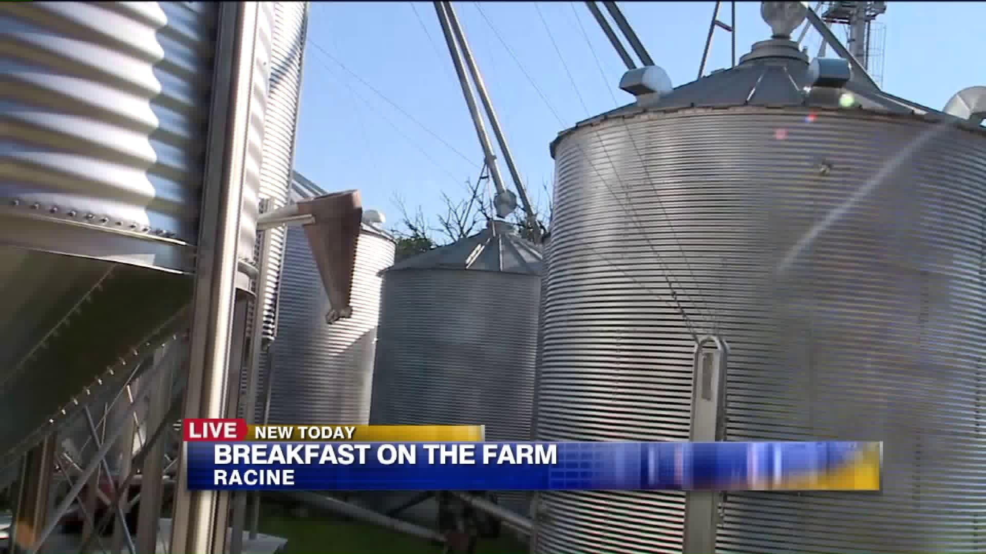 Breakfast on the farm: Bird family