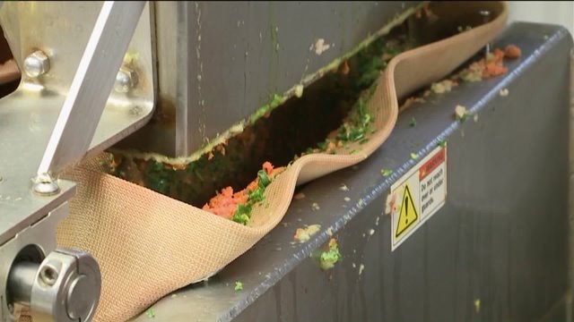 Chip learns how to prepare fruits, vegetables to be juiced