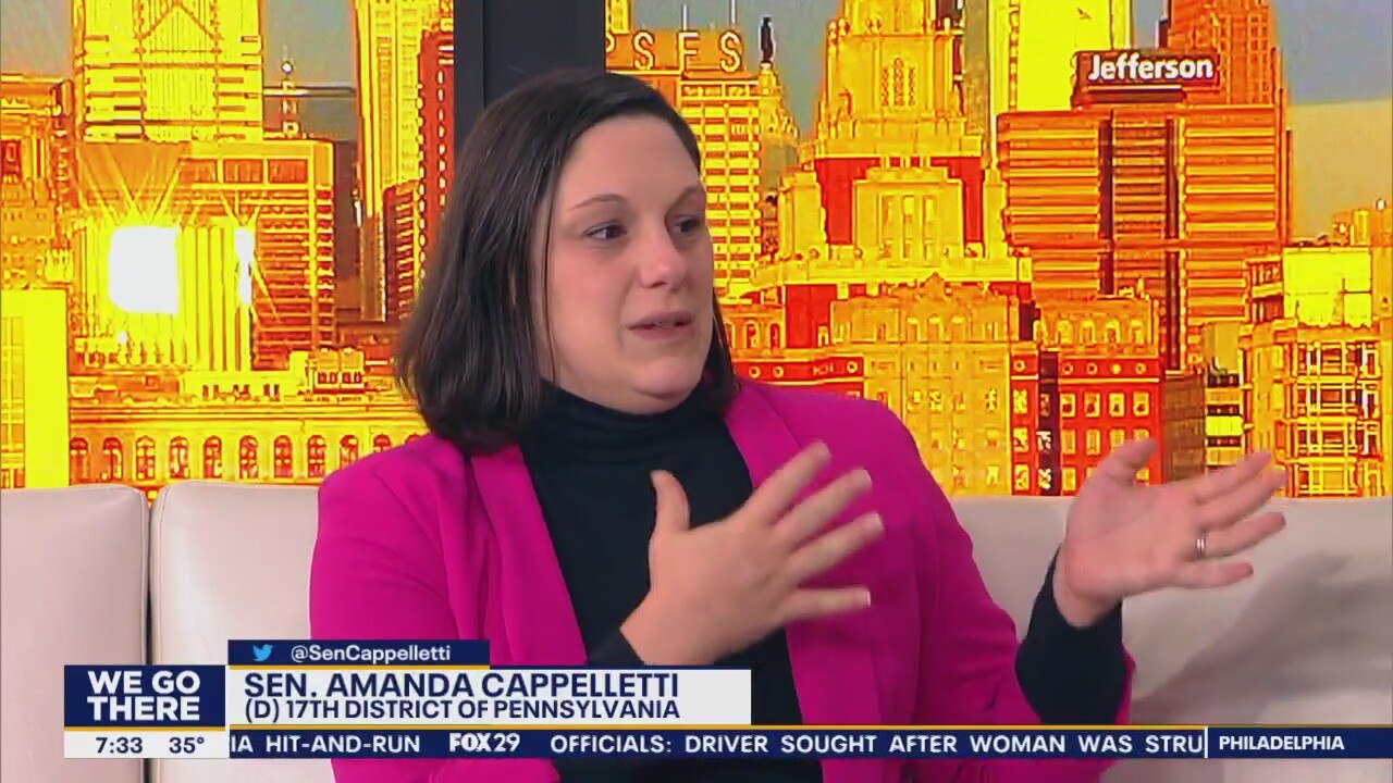 Pennsylvania's first sitting senator to give birth while in office