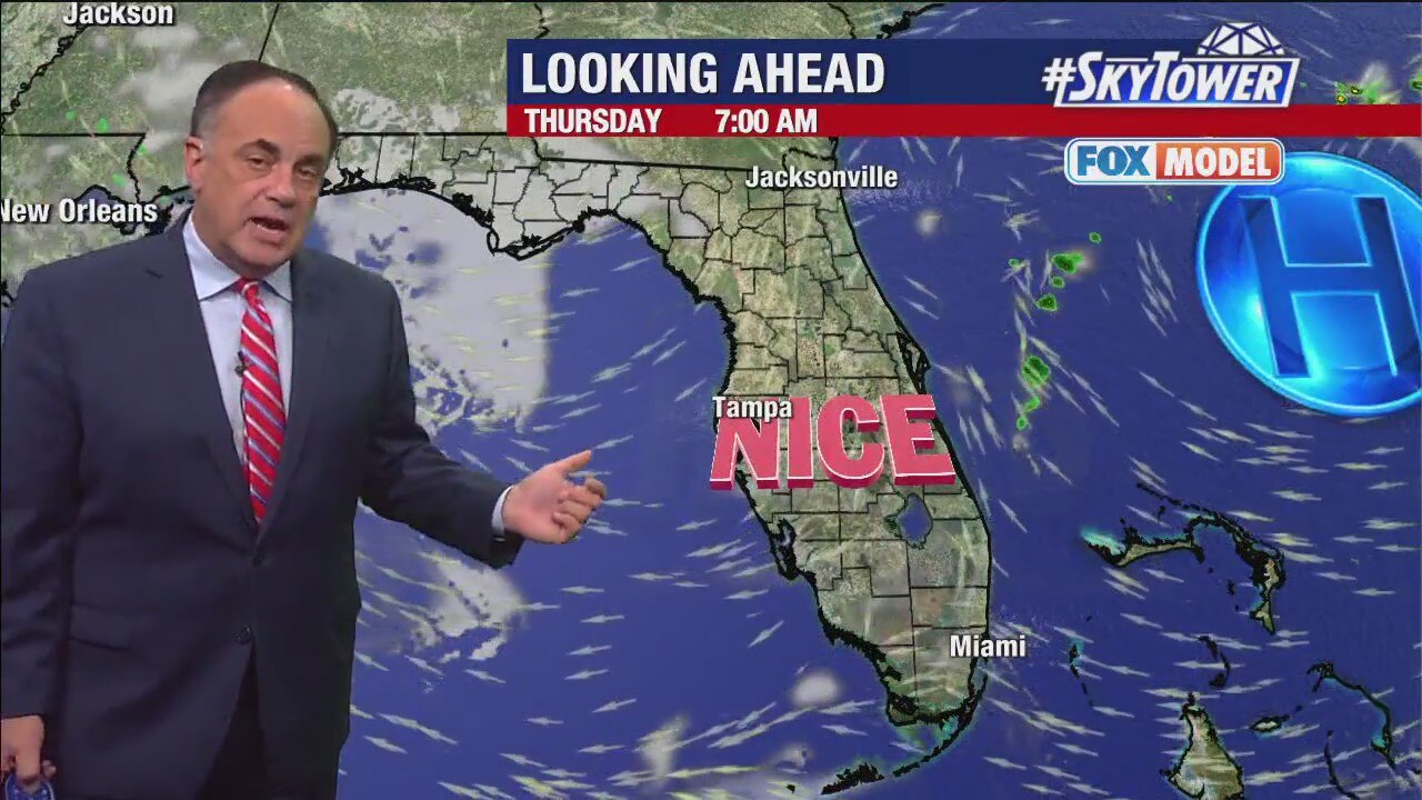 Tampa weather | Partly cloudy, warm afternoon tomorrow