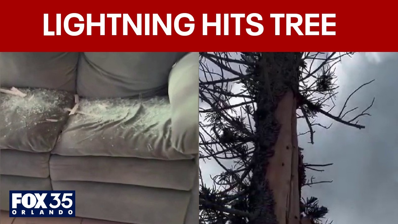 Home impaled by flying logs after massive lightning strike