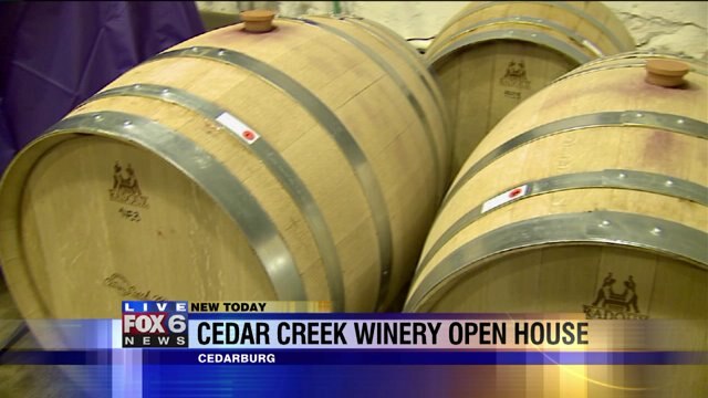 Laura talks processing grapes at Cedar Creek Winery