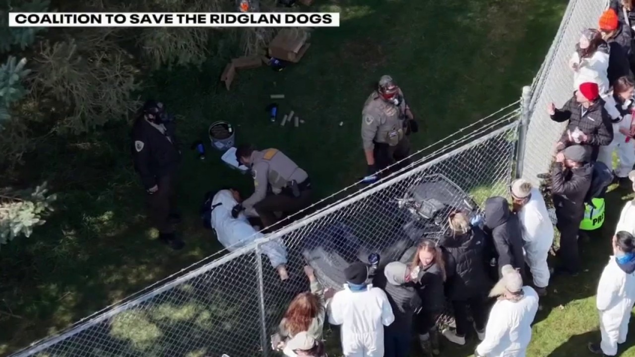 Ridglan Farms activists protest at capitol, political figures weigh in