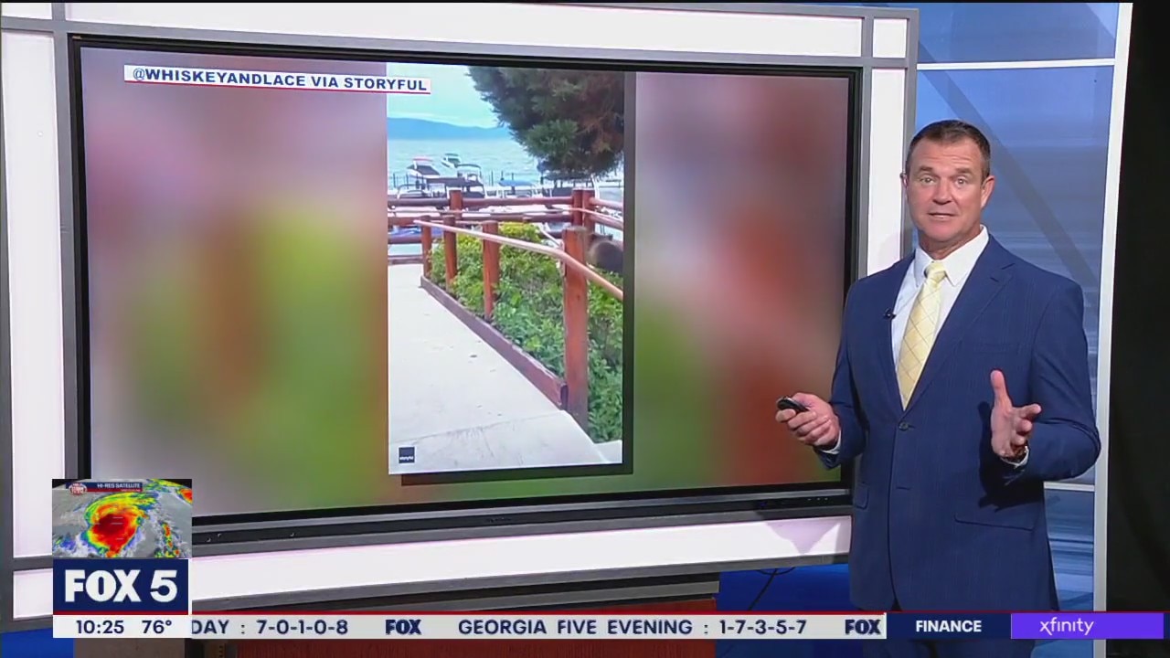 Bear visits California restaurant