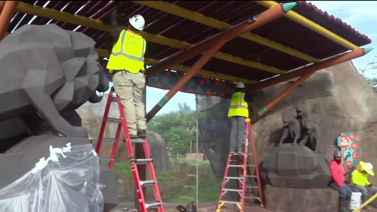 Lion & Hyena Ridge at Busch Gardens