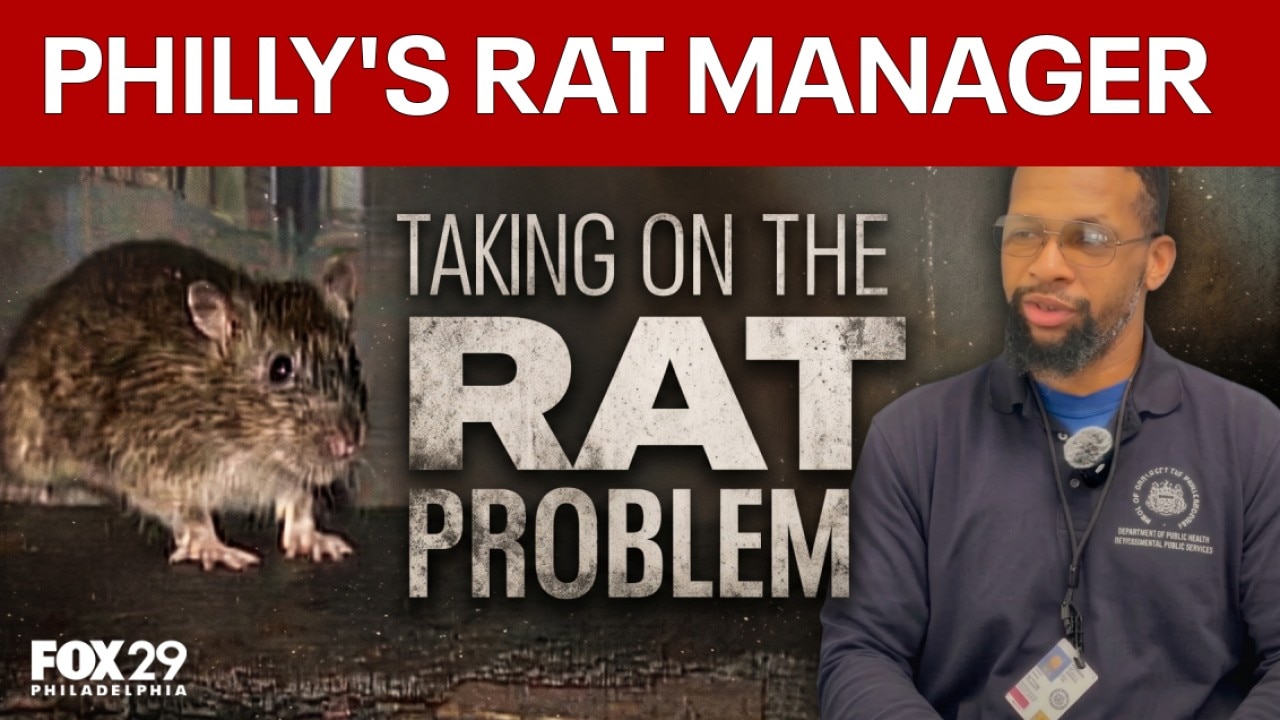Philly rat abatement manager on tackling citywide infestation