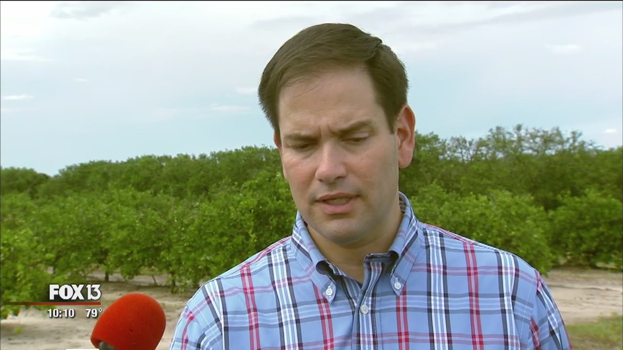 Rubio kicks off senate re-election bid in Tampa Bay