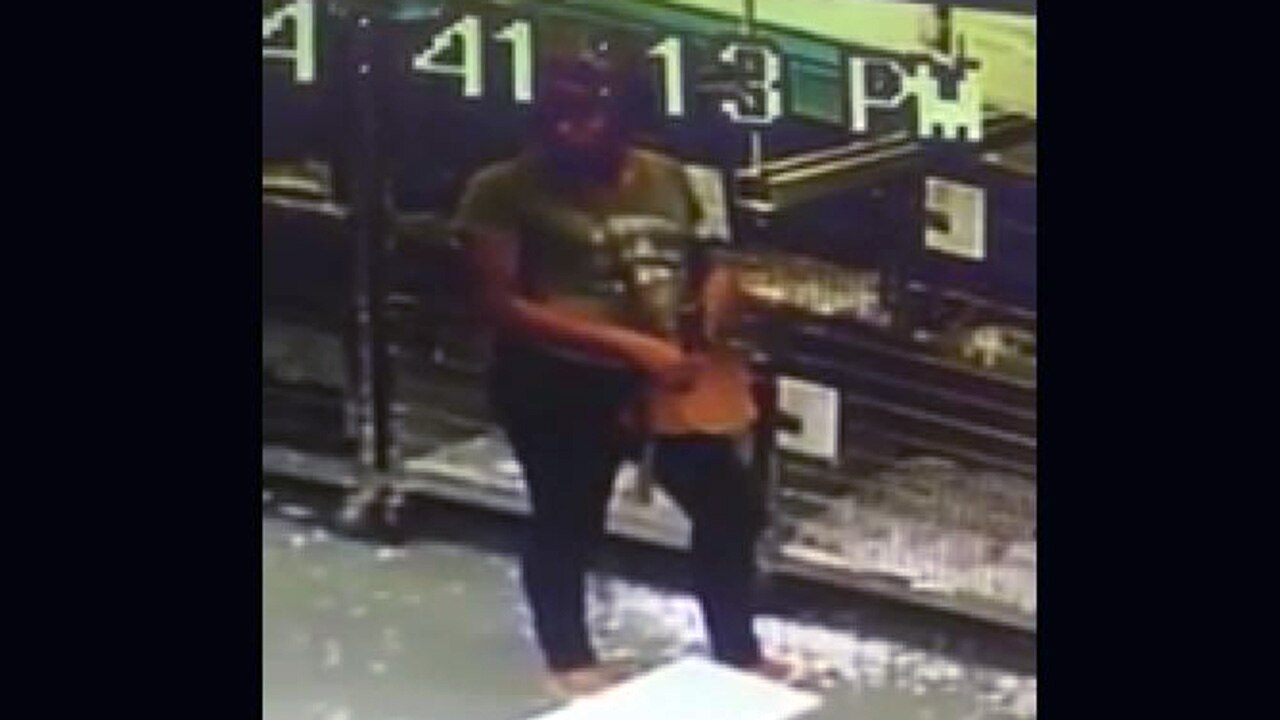 Puppy stolen from Humane Society of Tampa Bay