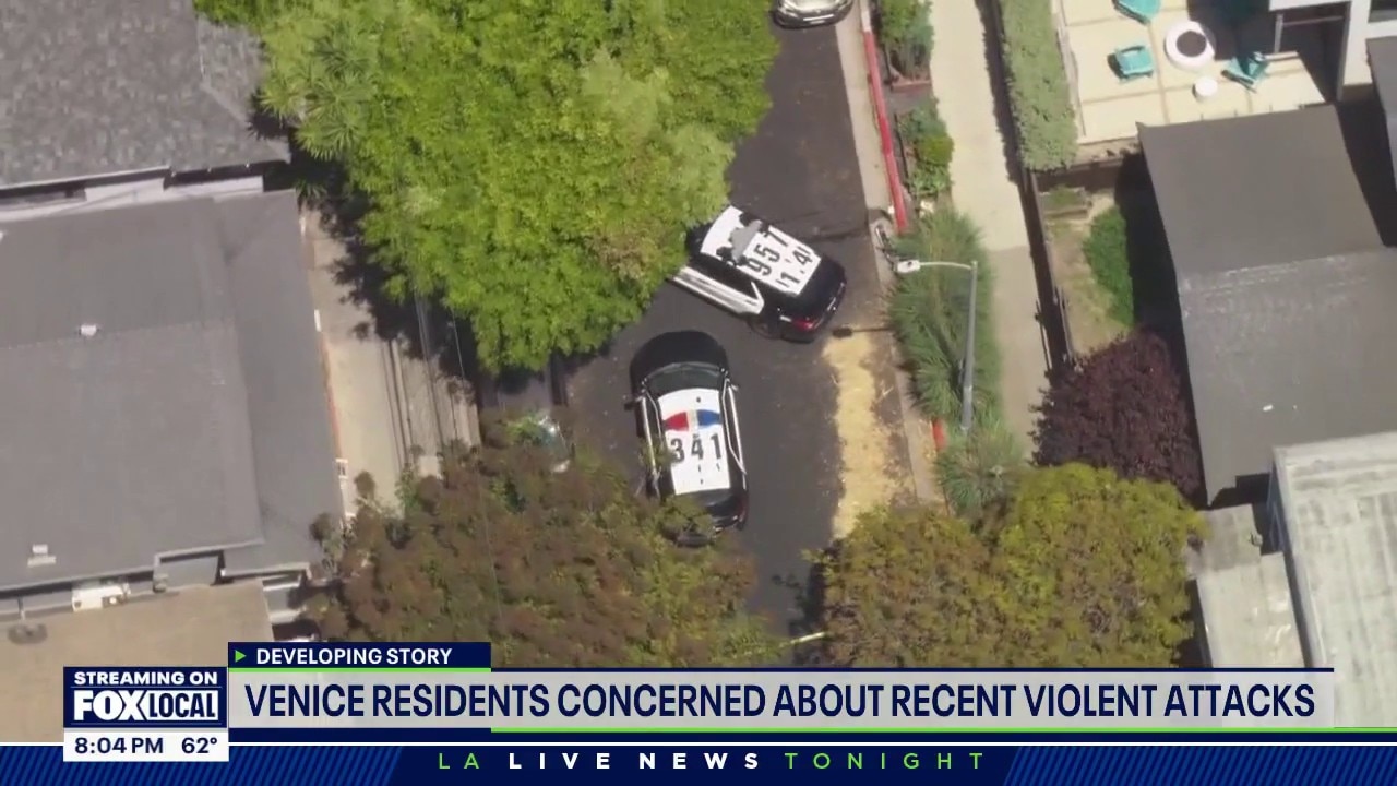 Venice residents concerned about recent violent attacks.