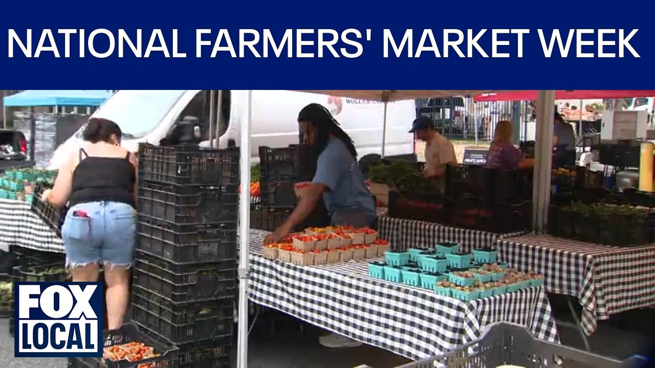 Celebrating National Farmers’ Market Week in Minnesota