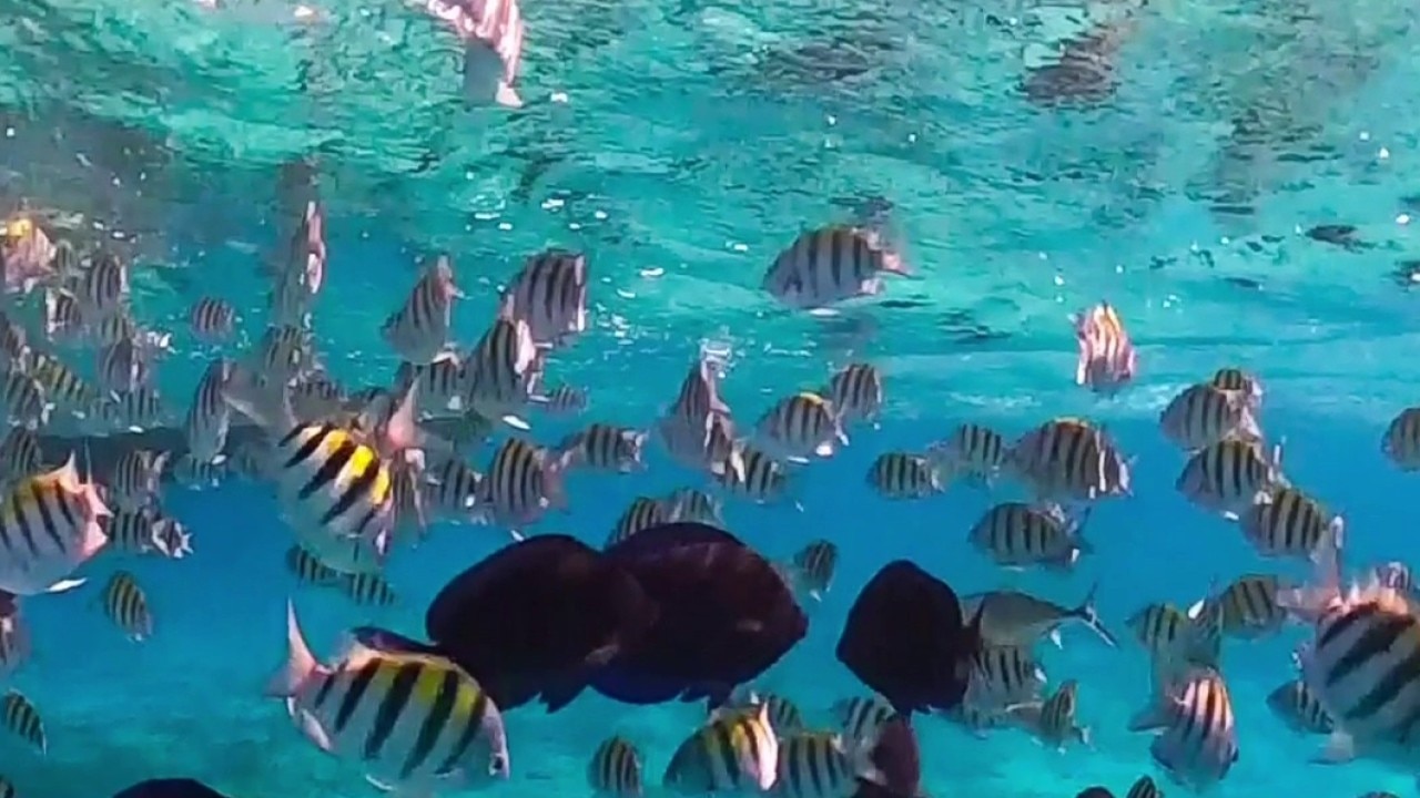 Non-stop flights from Austin to Cayman Islands