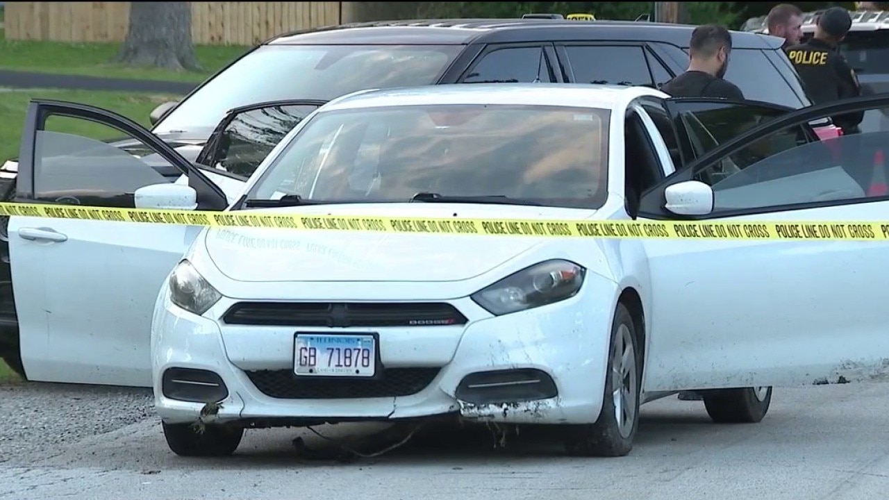Chicago police officer shot 2 people in south suburb: report