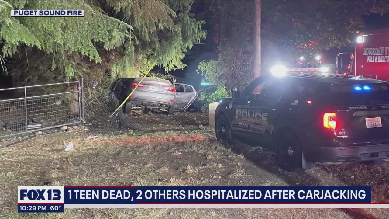 Police: Driver dead, 2 others teens hurt after armed carjacking in ...