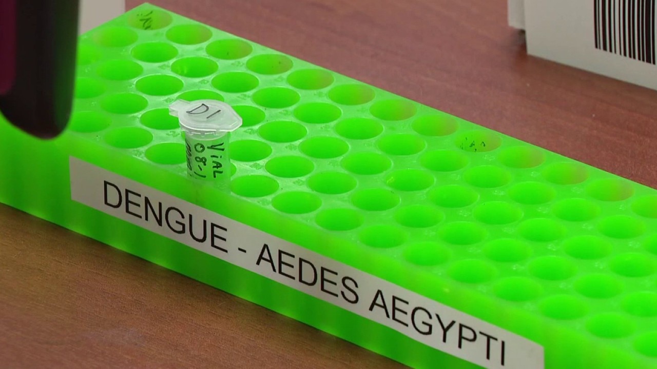 Surgeon general urges precautions against Dengue