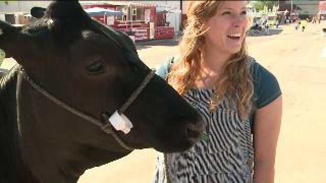 Laura checks out food, animals at State Fair