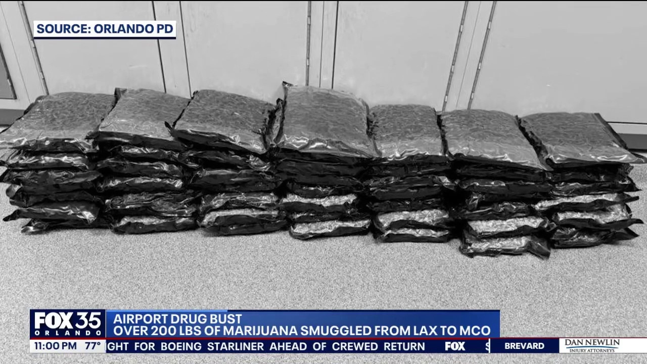 More than 200 pounds of marijuana seized in airport drug busts