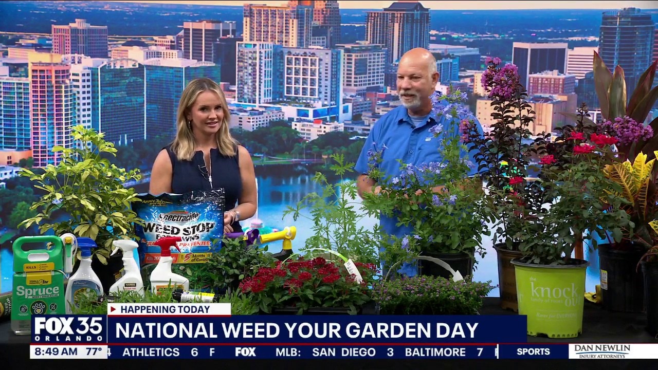 National weed your garden day