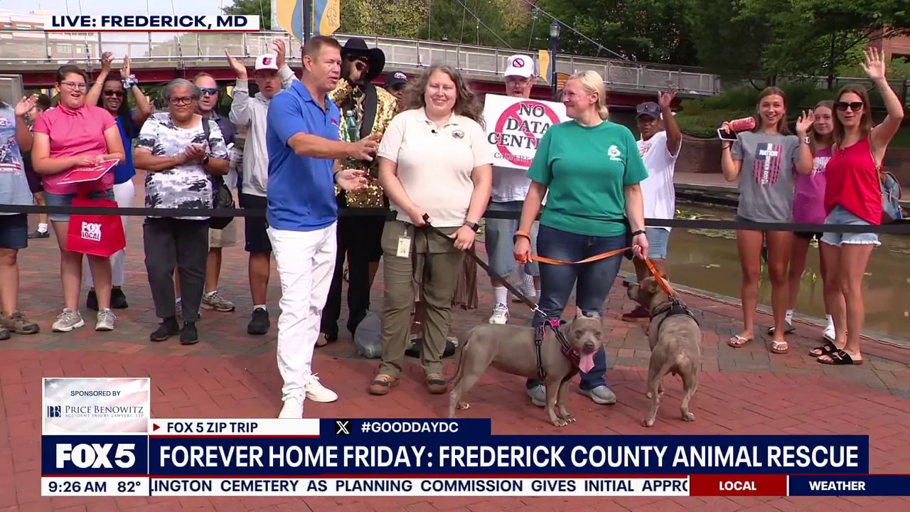 Forever Home Friday: Frederick County Animal Rescue