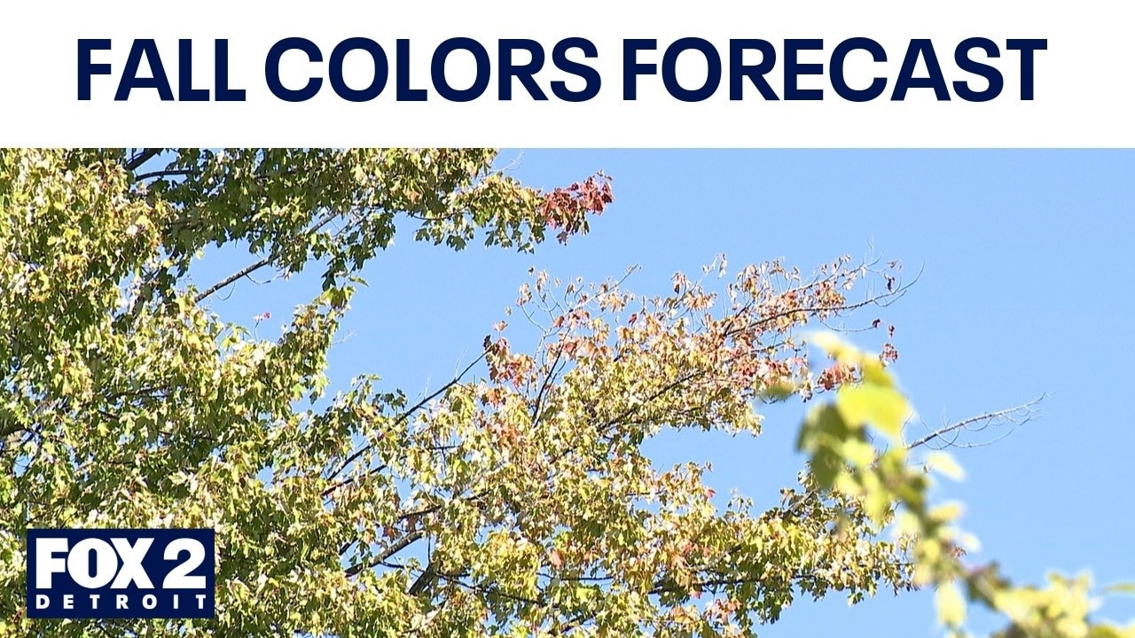 When will leaves change in Michigan? Fall colors forecast