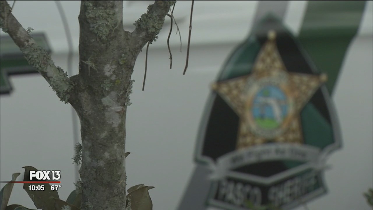 Teens point gun at deputy