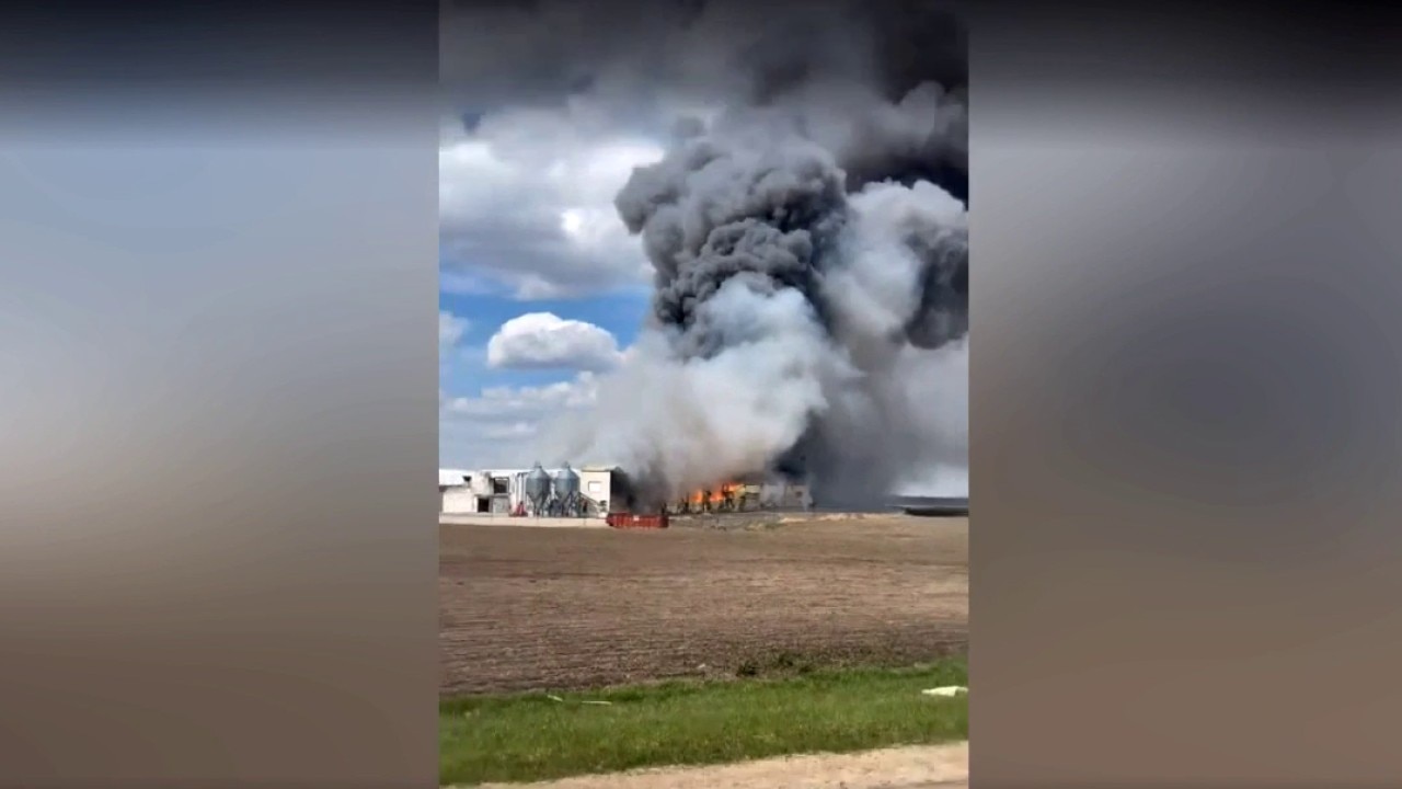 Palmyra chicken farm fire