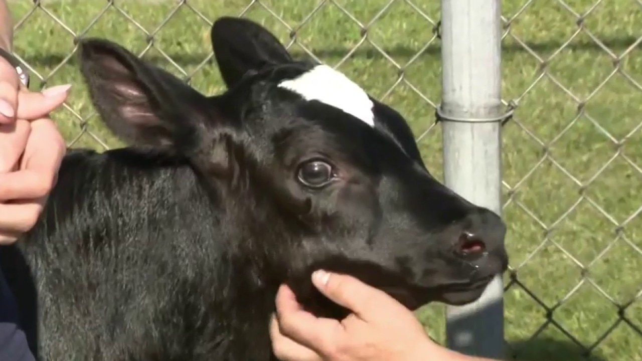 Racine County ​Breakfast on the Farm