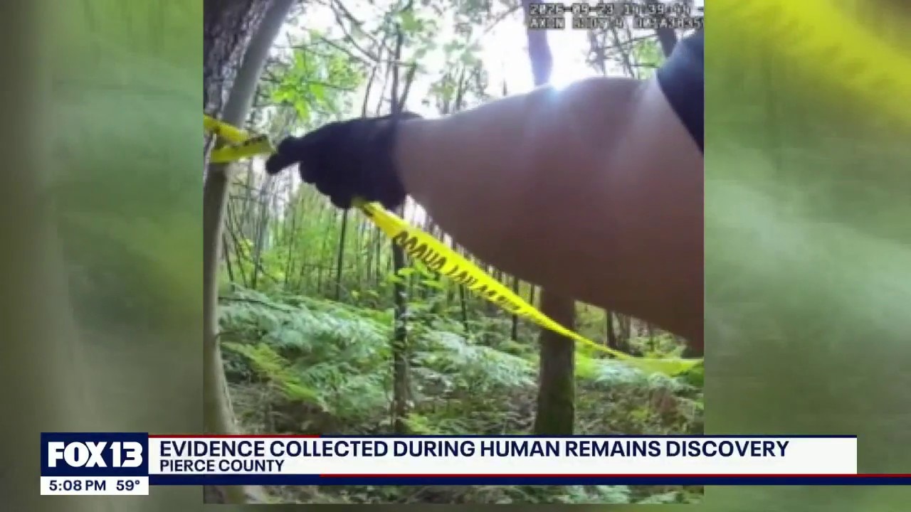 Human remains found in Pierce County woods