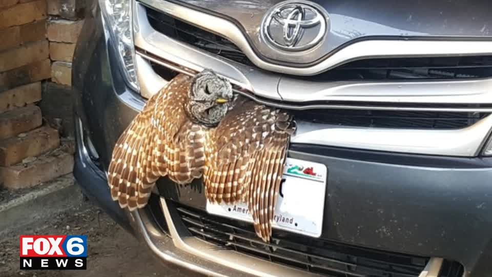 Miraculous survival