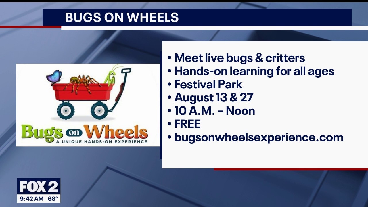 Bugs on Wheels