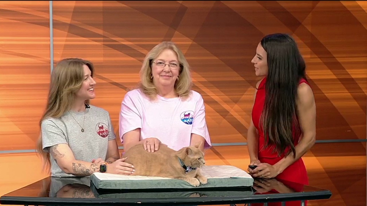 Pet of the day: Gus
