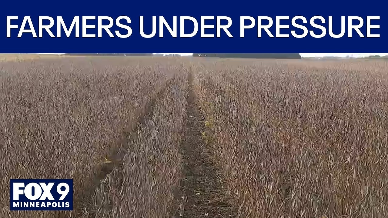 Challenges facing Minnesota farmers