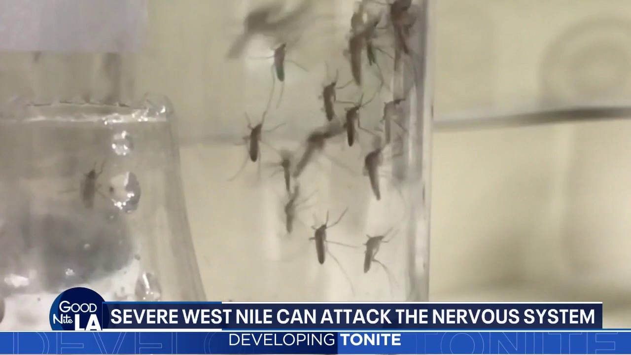 West Nile virus surges in Los Angeles County