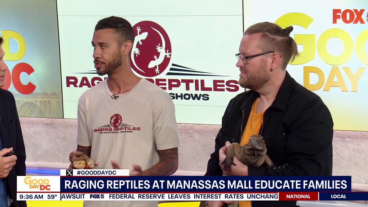 Raging reptiles: reptile education at Manassas Mall