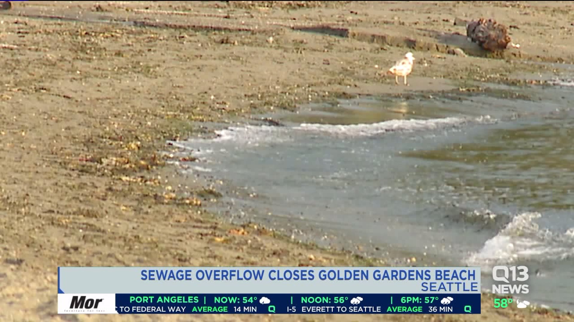 Sewage overflow closes beach at Golden Gardens Park