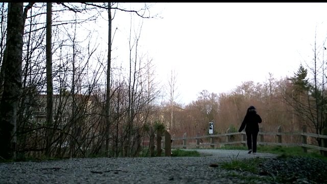 Police searching for serial groper attacking women on Bellingham trail