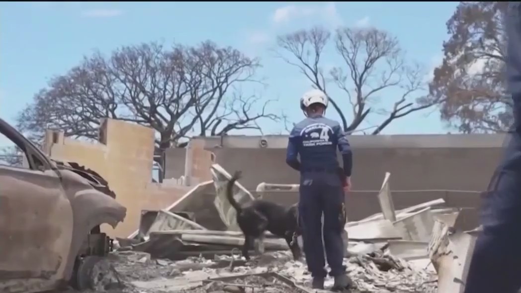 Maui official begin to ID victims of deadly wildfire