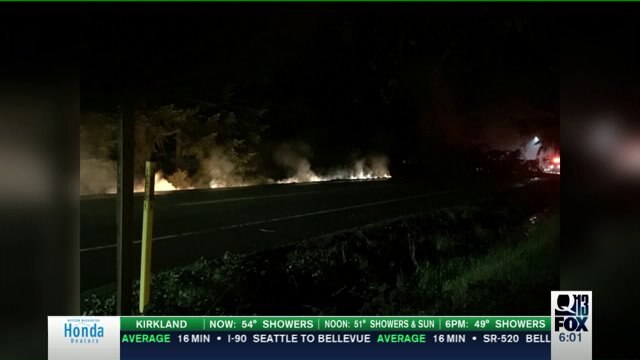 Winds whip through Kitsap County, knocking out power